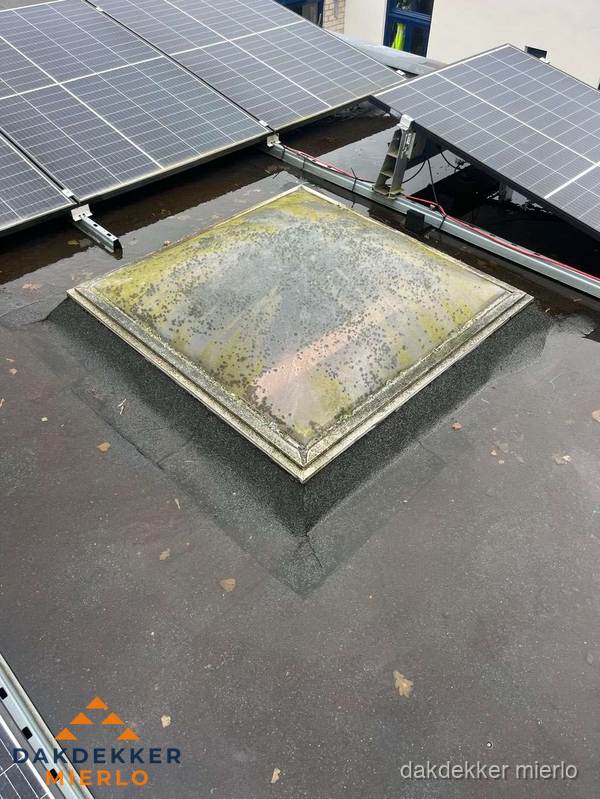 Vervuilde lichtkoepel op plat dak met zonnepanelen in Mierlo Vervuilde lichtkoepel op plat dak met zonnepanelen in Mierlo