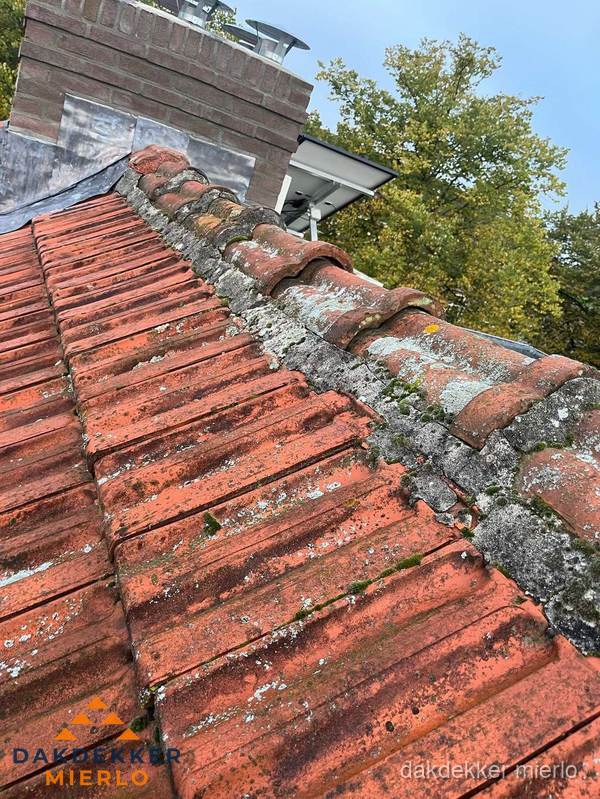 Verweerd hellend dak met mosgroei op nokvorst in Mierlo Verweerd hellend dak met mosgroei op nokvorst in Mierlo