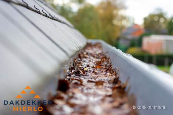 Verstopte dakgoot met bladeren schoonmaken in Mierlo Verstopte dakgoot met bladeren schoonmaken in Mierlo