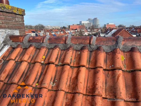 Pannendak met nokvorst en schoorsteen, dakrenovatie in Mierlo Pannendak met nokvorst en schoorsteen, dakrenovatie in Mierlo