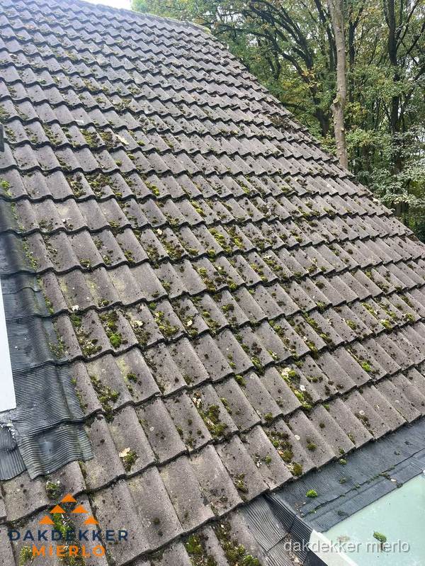 Verweerd pannendak met mosgroei dat renovatie nodig heeft in Mierlo Verweerd pannendak met mosgroei dat renovatie nodig heeft in Mierlo